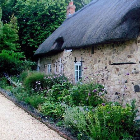 Afton Thatch: Beautiful Thatched Family Cottage Freshwater Dış mekan fotoğraf